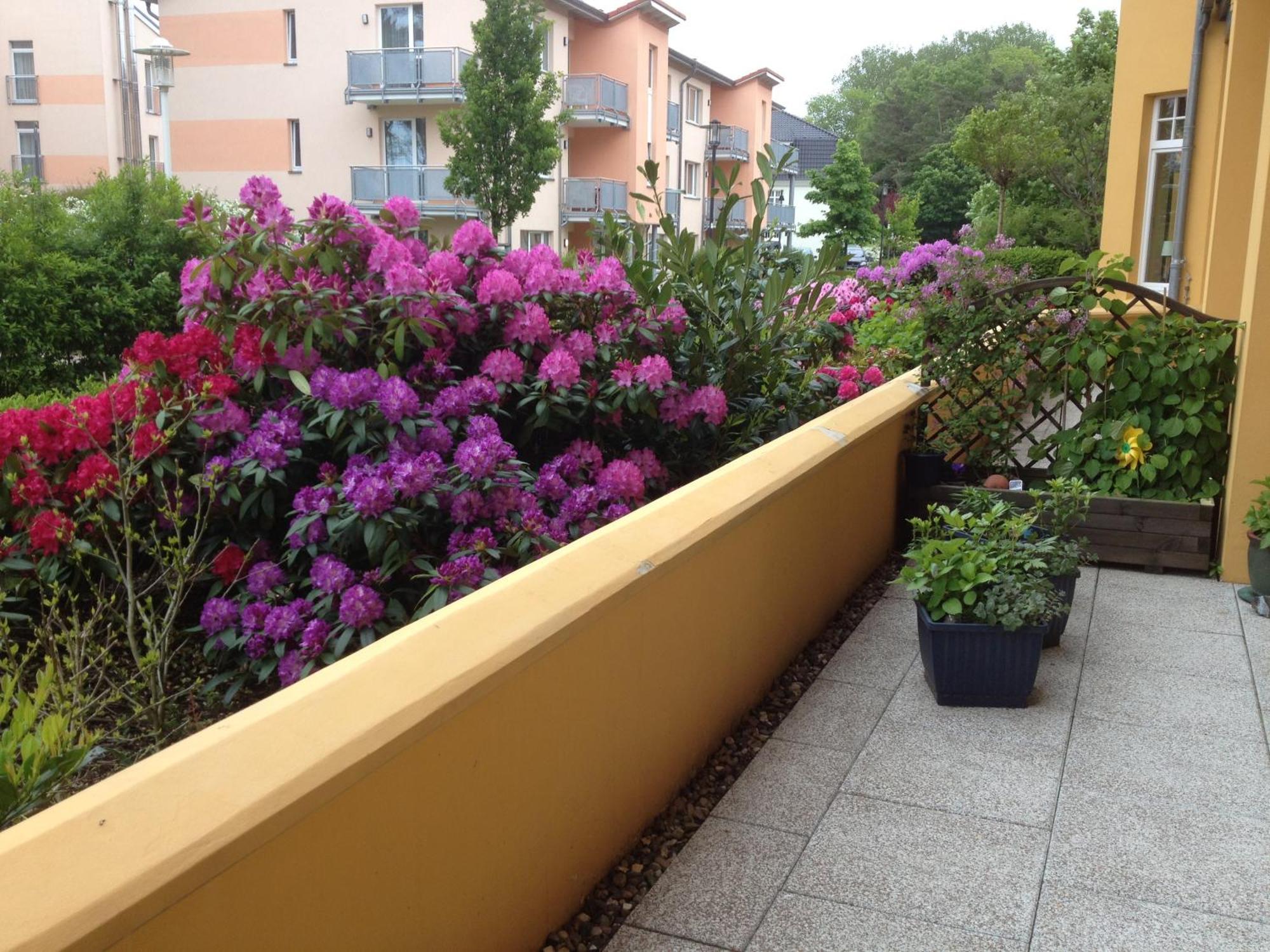 Sonnenresidenz Kuehlungsborn Apartment Exterior photo